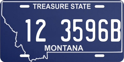 MT license plate 123596B