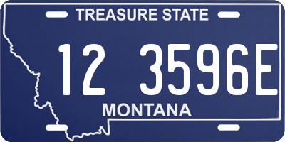 MT license plate 123596E