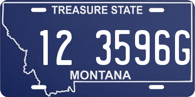 MT license plate 123596G