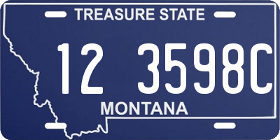 MT license plate 123598C