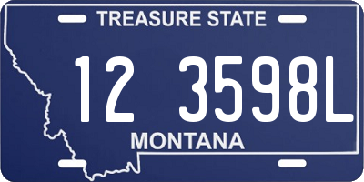 MT license plate 123598L