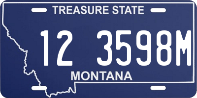 MT license plate 123598M