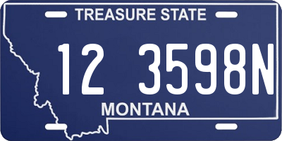 MT license plate 123598N