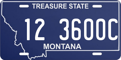 MT license plate 123600C