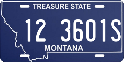 MT license plate 123601S