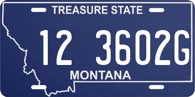 MT license plate 123602G