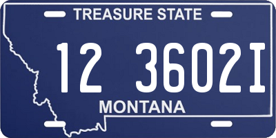 MT license plate 123602I