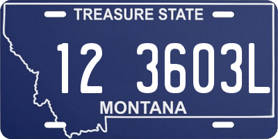 MT license plate 123603L