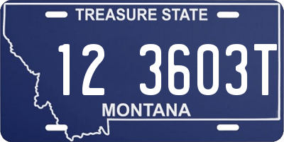MT license plate 123603T