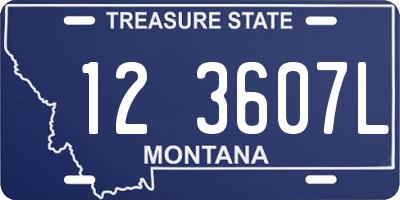 MT license plate 123607L
