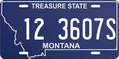 MT license plate 123607S