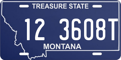 MT license plate 123608T