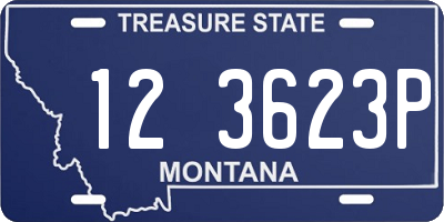 MT license plate 123623P