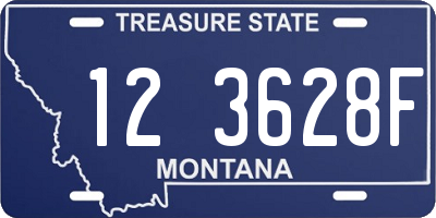 MT license plate 123628F