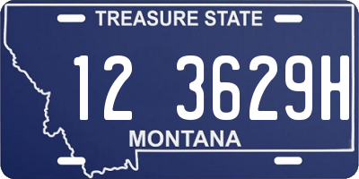 MT license plate 123629H