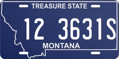 MT license plate 123631S