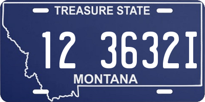 MT license plate 123632I