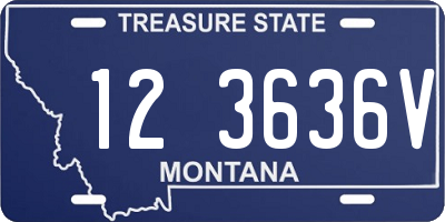 MT license plate 123636V