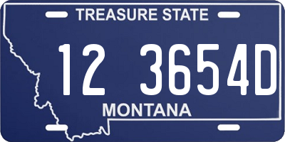 MT license plate 123654D