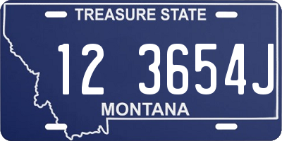 MT license plate 123654J