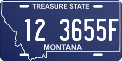 MT license plate 123655F