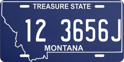 MT license plate 123656J