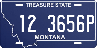MT license plate 123656P