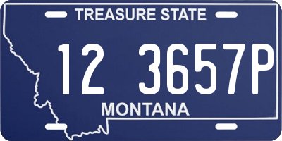 MT license plate 123657P