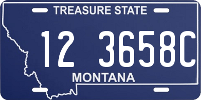 MT license plate 123658C