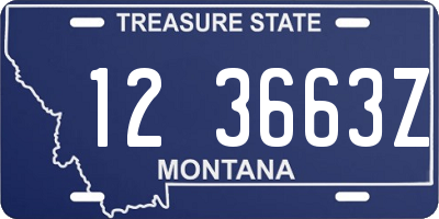 MT license plate 123663Z