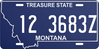MT license plate 123683Z