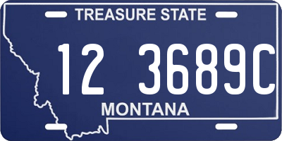 MT license plate 123689C