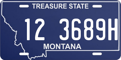 MT license plate 123689H