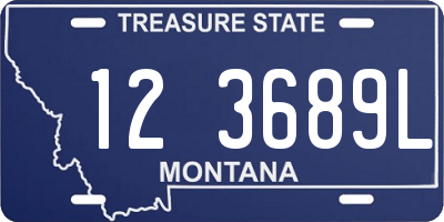 MT license plate 123689L