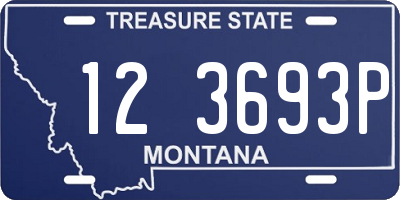 MT license plate 123693P