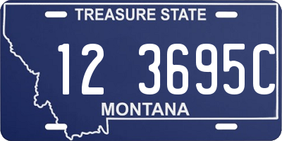 MT license plate 123695C