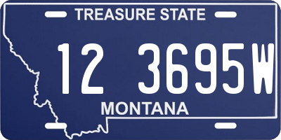 MT license plate 123695W