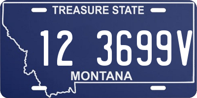MT license plate 123699V
