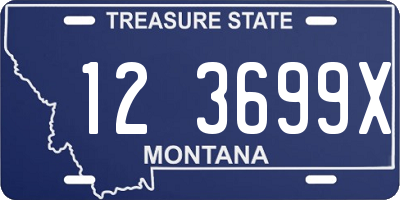 MT license plate 123699X