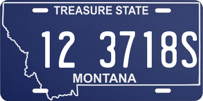 MT license plate 123718S