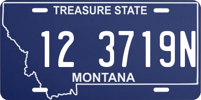 MT license plate 123719N