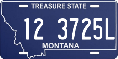 MT license plate 123725L