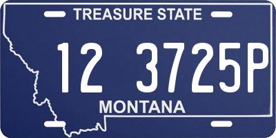 MT license plate 123725P