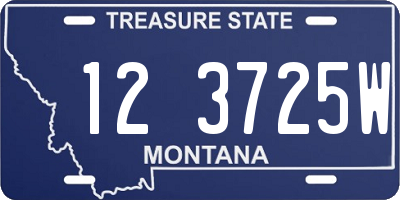 MT license plate 123725W