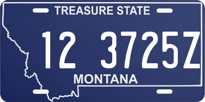 MT license plate 123725Z
