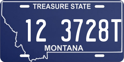 MT license plate 123728T