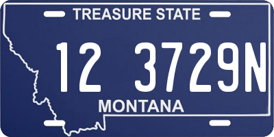 MT license plate 123729N