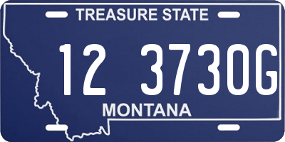 MT license plate 123730G