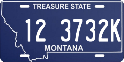 MT license plate 123732K