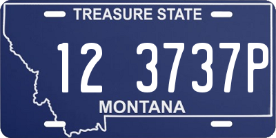 MT license plate 123737P
